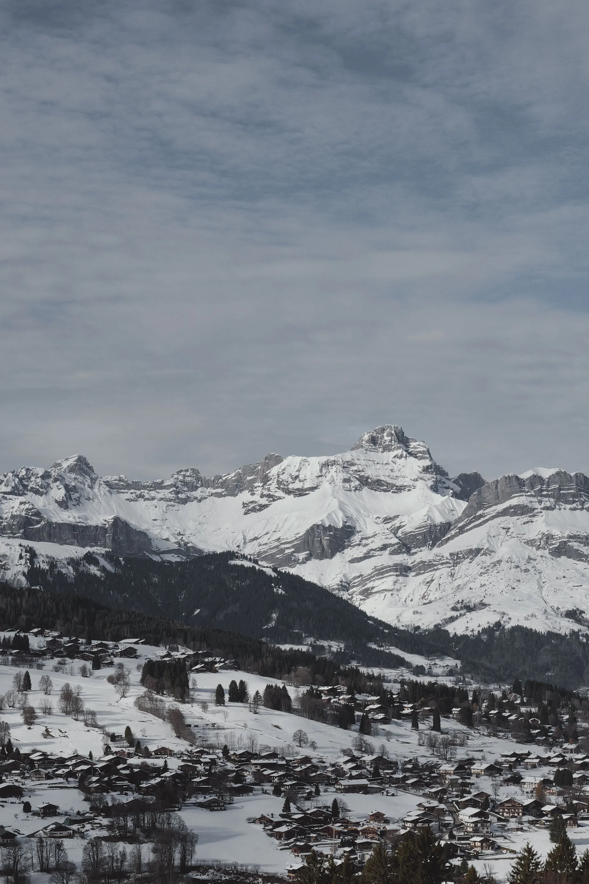 L1041868_1.jpg