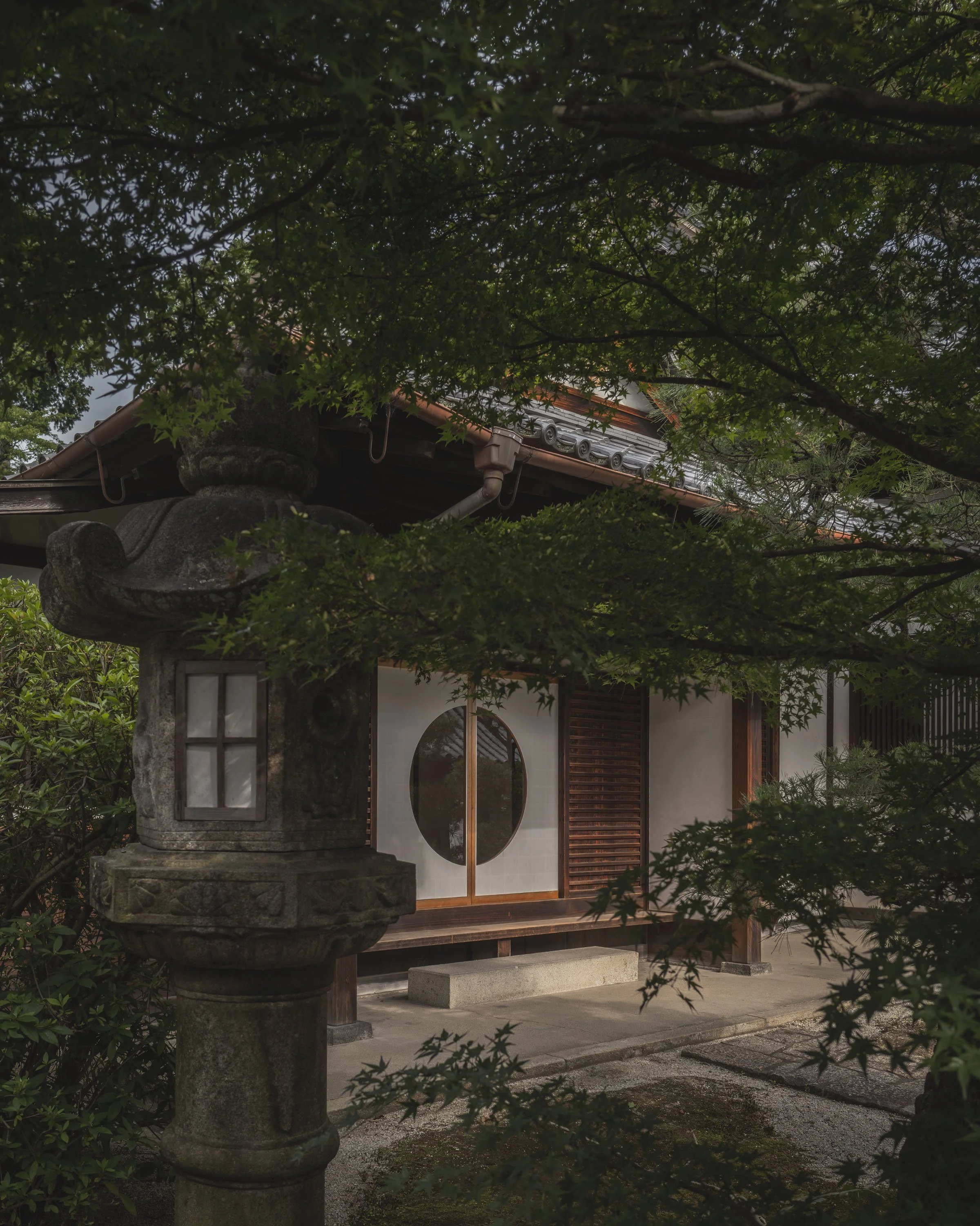 L1056687©Guillaume Grasset.jpg