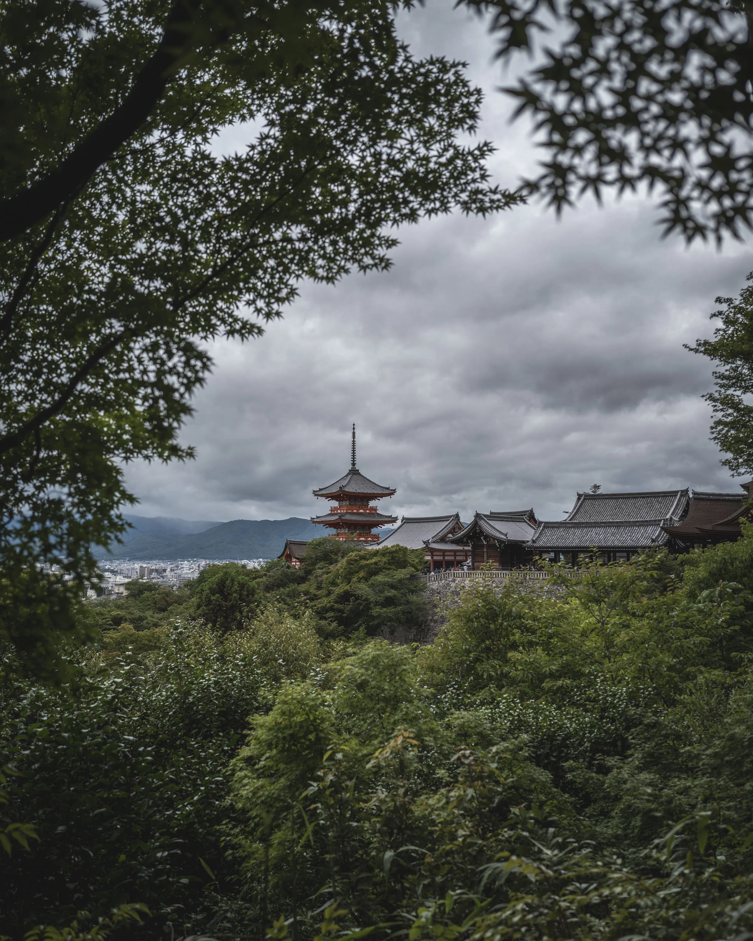 L1057431©GUILLAUME GRASSET_1©Guillaume Grasset.jpg