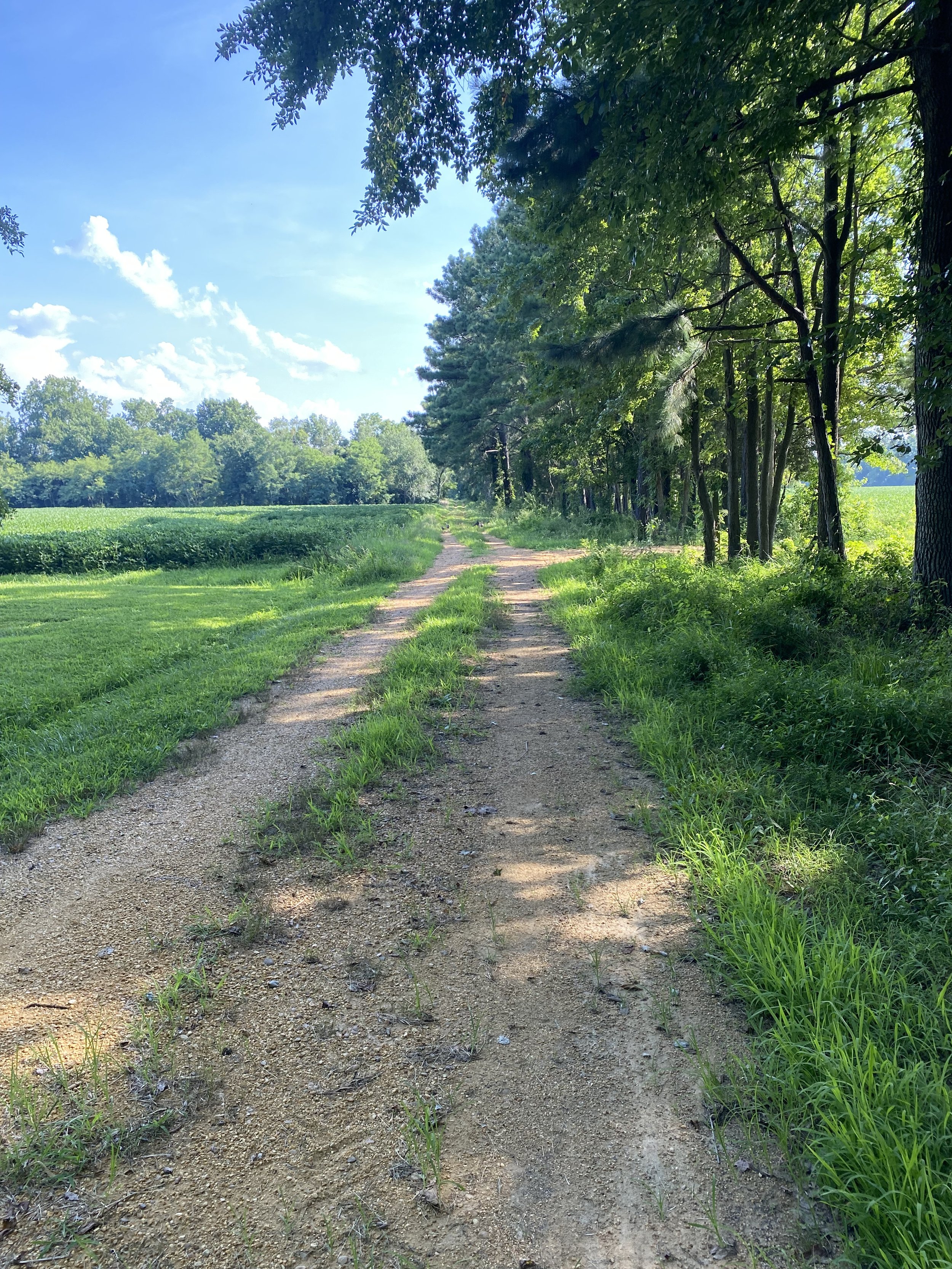 THE FARM & WOODLAND SPRING & SUMMER SERIES May - August 2023