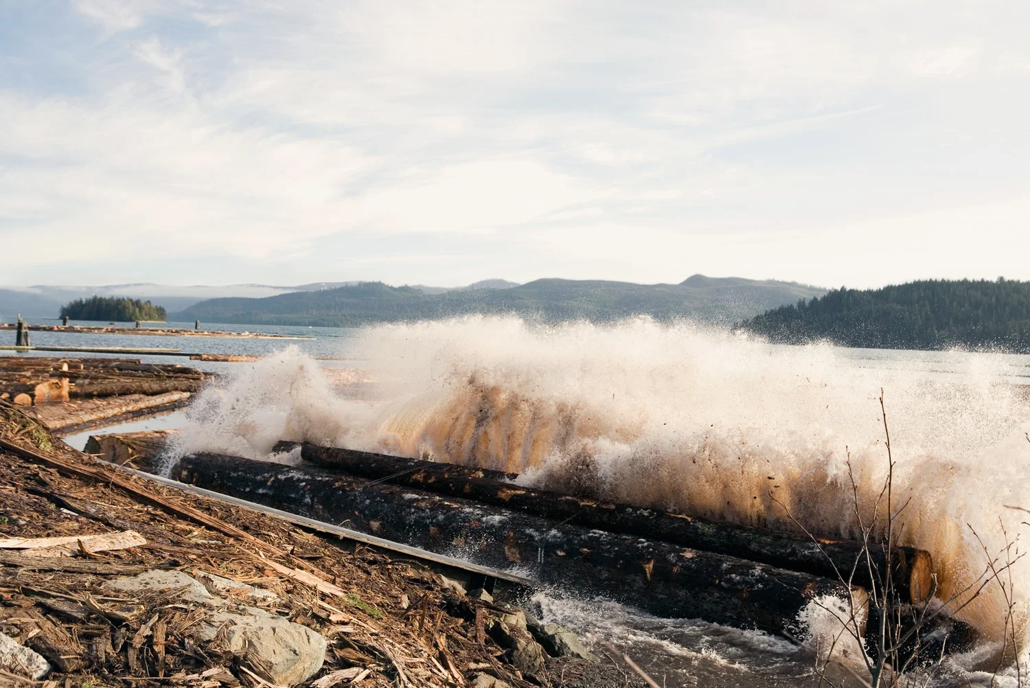 West Coast Logging