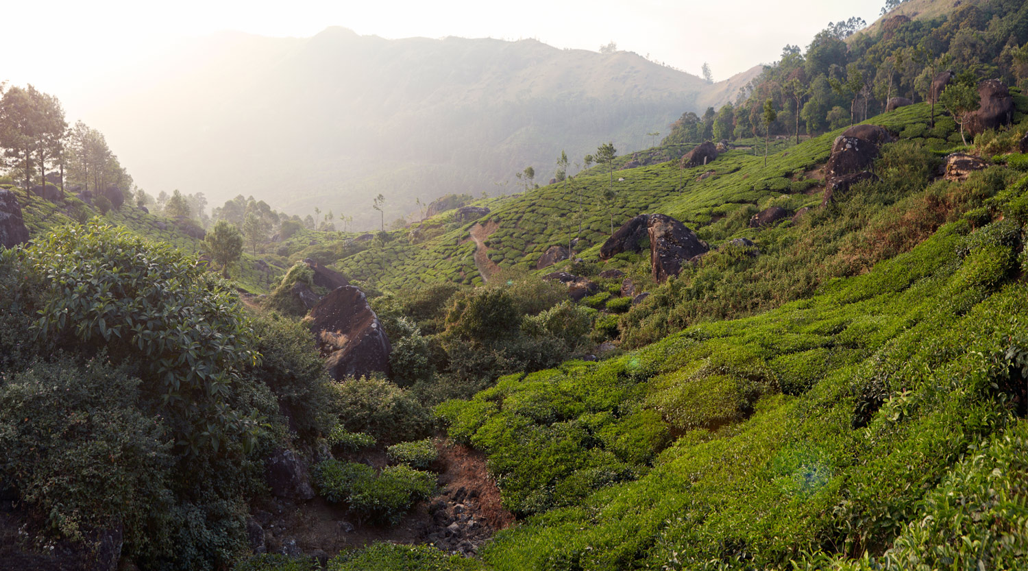Munnar