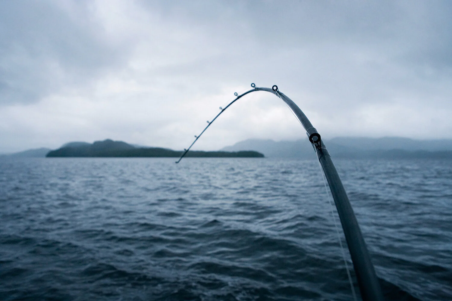 fc_fishing_01.jpg