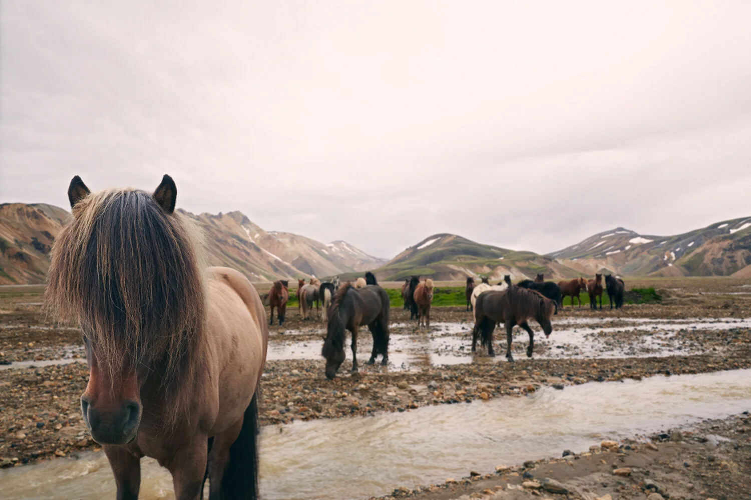 iceland_17_023_v2.jpg