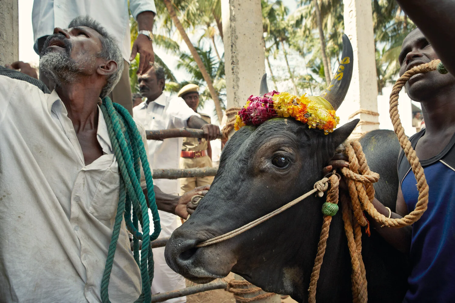 india_2023_1682_G2A2136-b.jpg