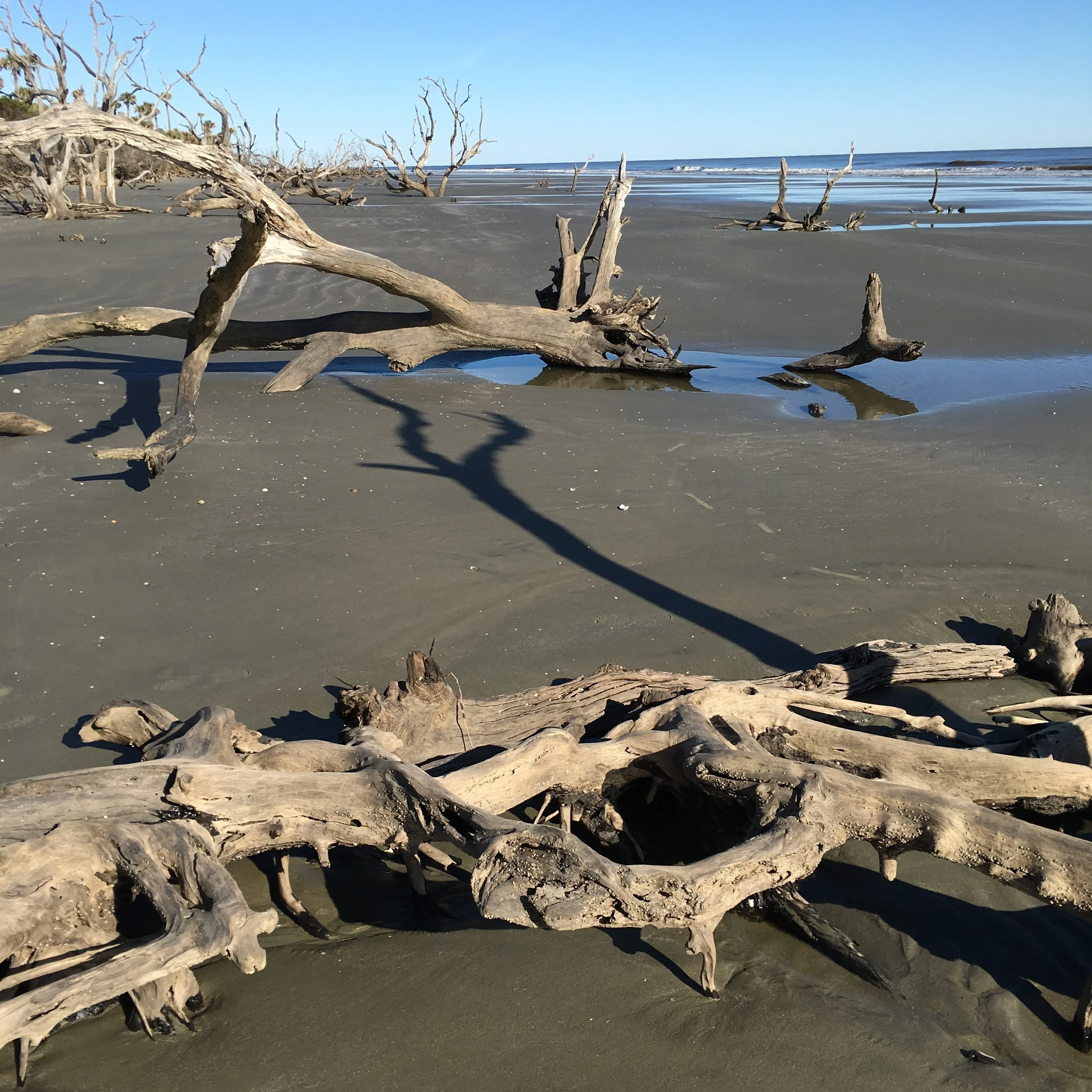 The boneyard