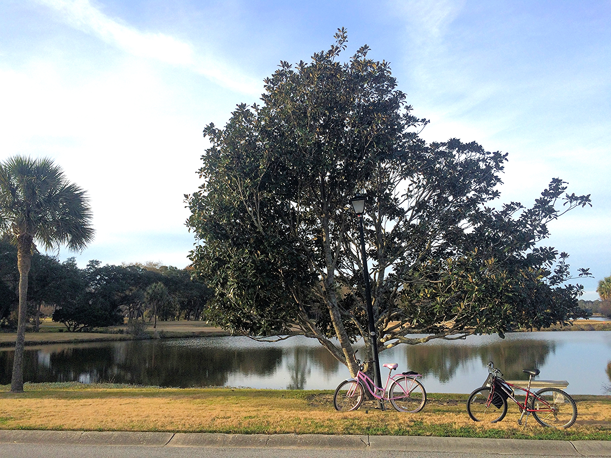 Bike ride this winter