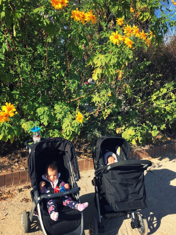 Our littles, Ruby and Grant, enjoying Hampton Park in downtown Charleston