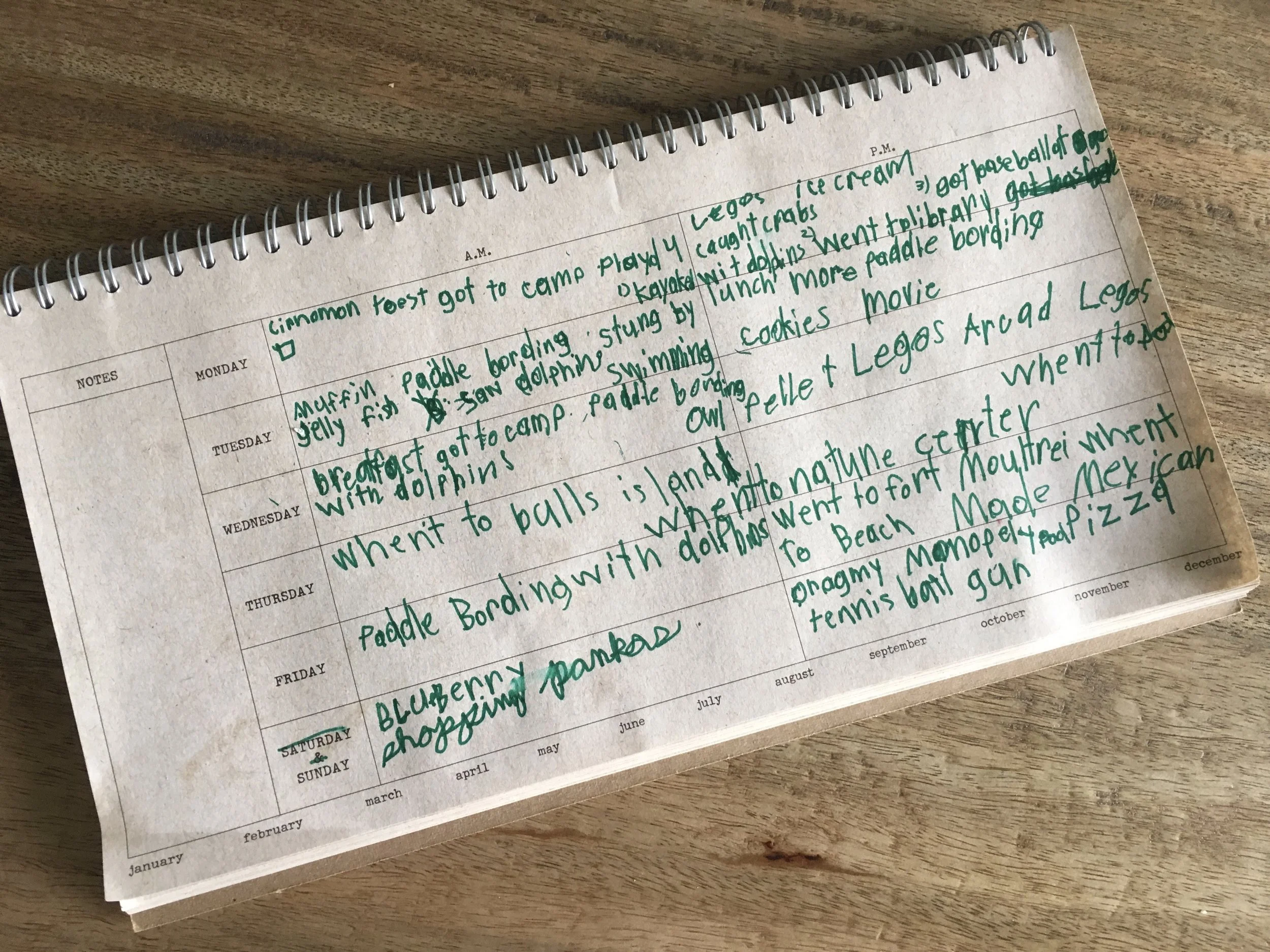 Daily Journaling