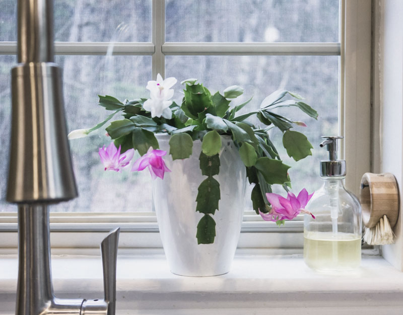 5 essentials for simple spring cleaning