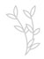 sprig.jpg