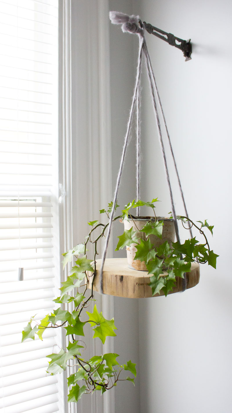 DIY Round Wood Shelf Plant Hanger