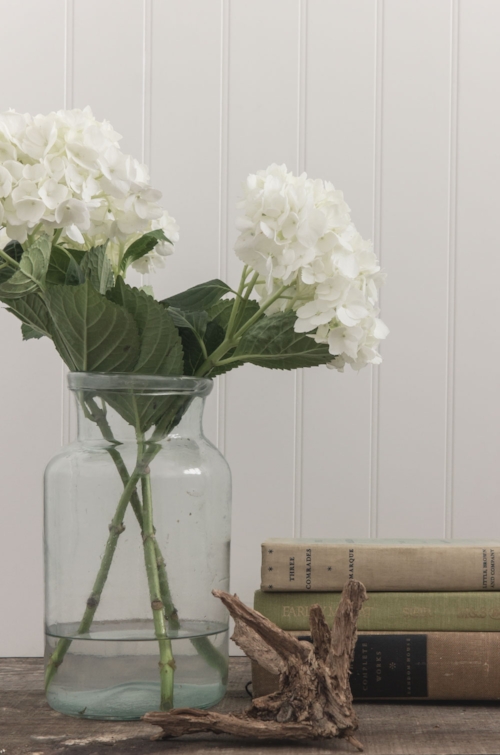 hydrangea.jpg