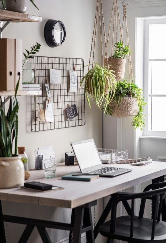 small home desk with plants