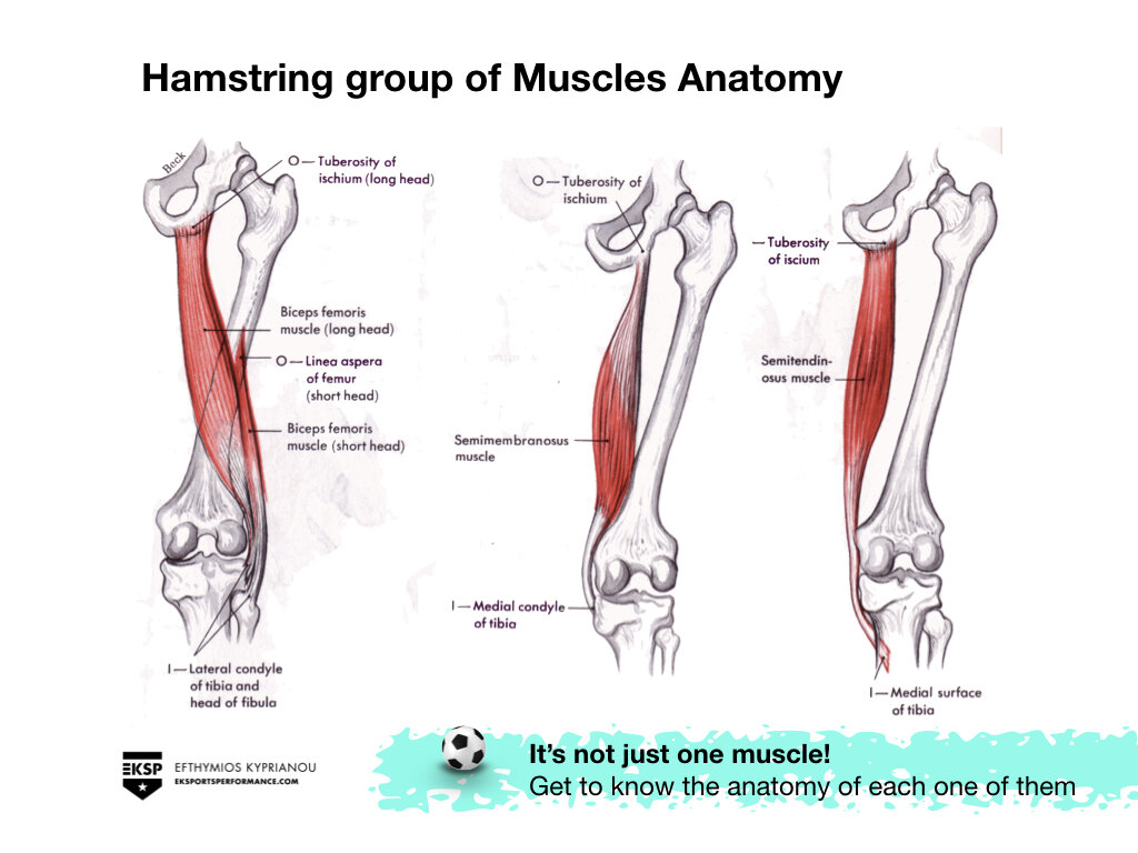 Hamstring Prevention in Soccer -Edited.003.jpeg