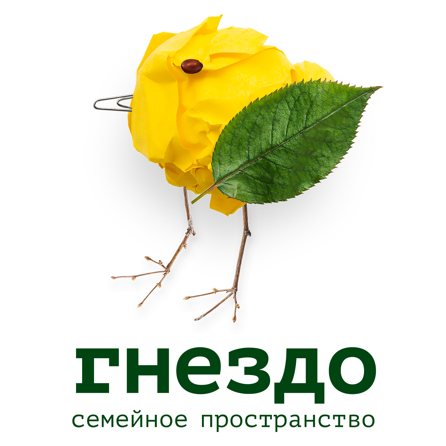 Частный детский сад и развивающий Реджио центр "Гнездо"