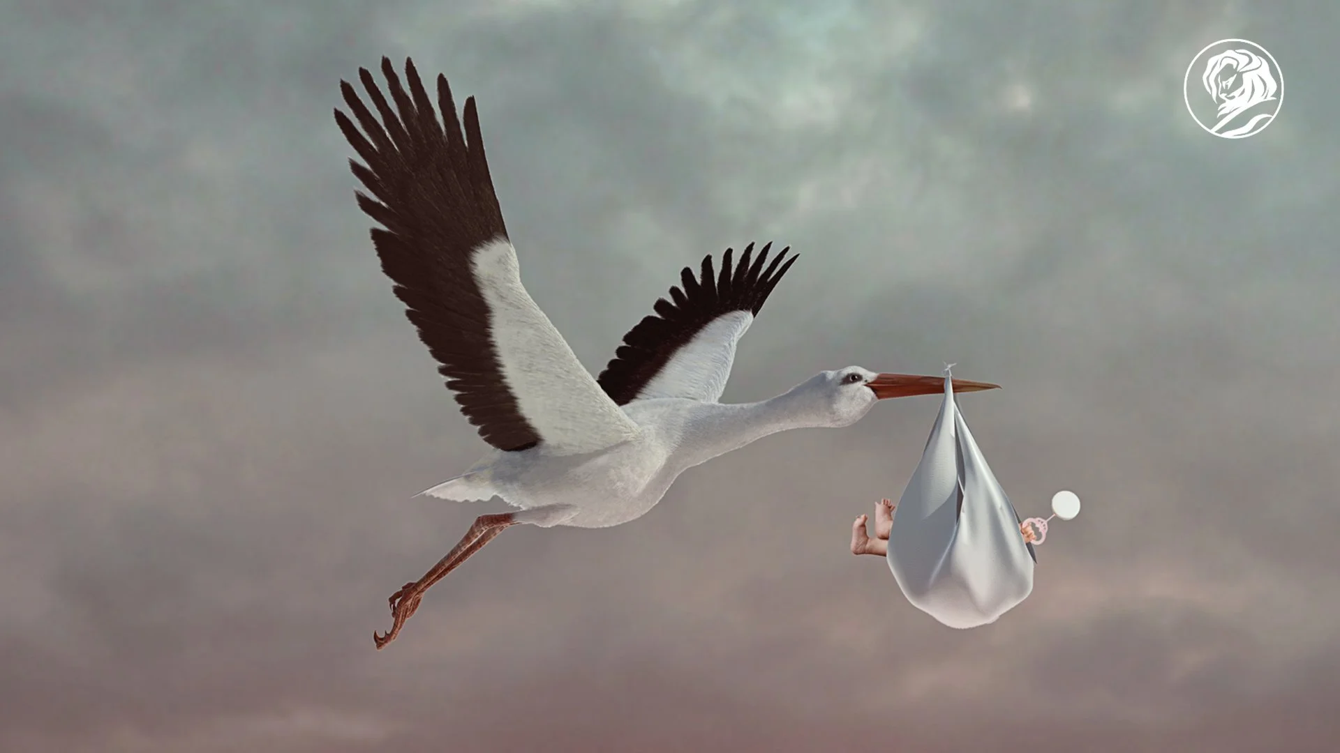 Clearblue Stork