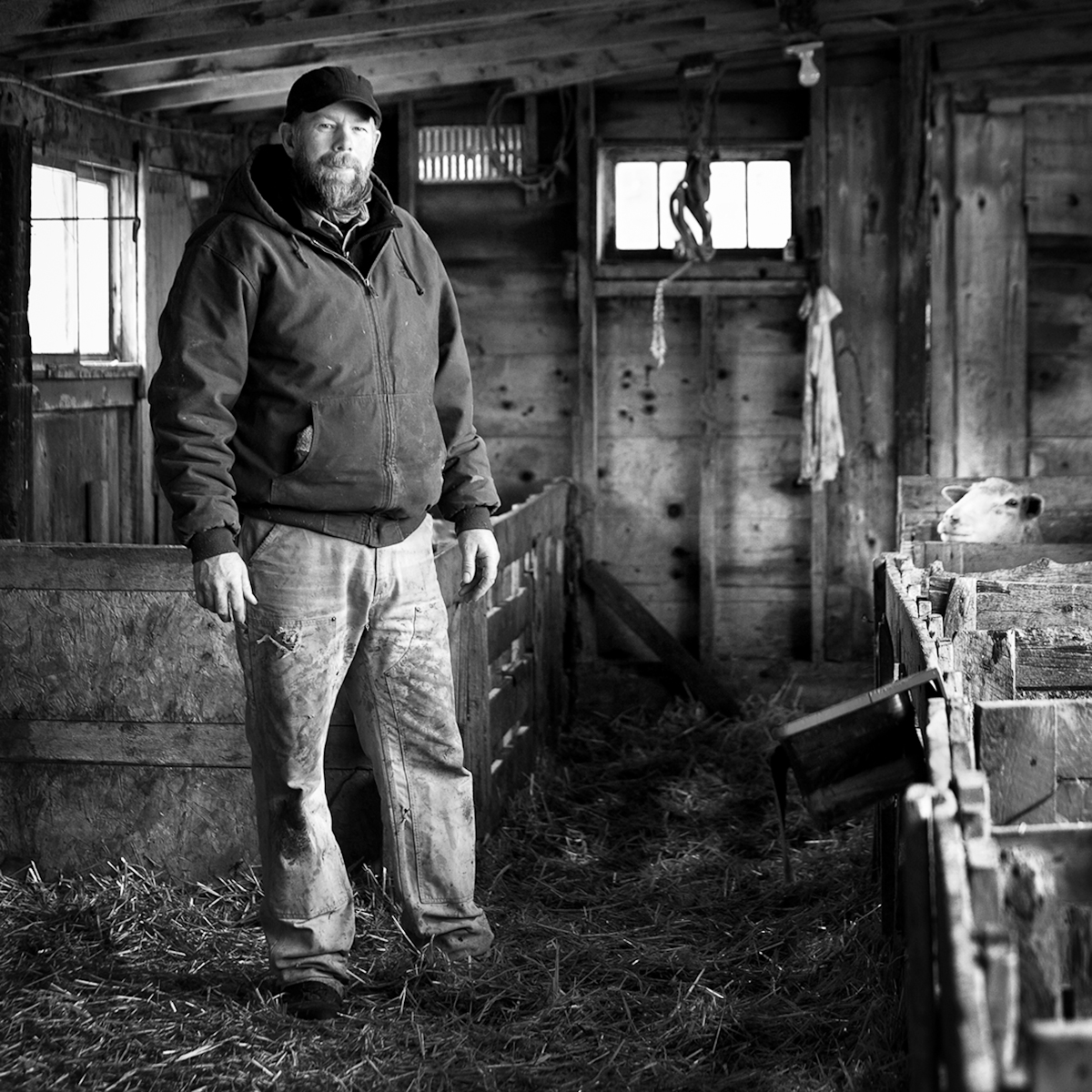   Regan Smith; fourth generation farmer and rancher on his great-grandparent's homestead.  