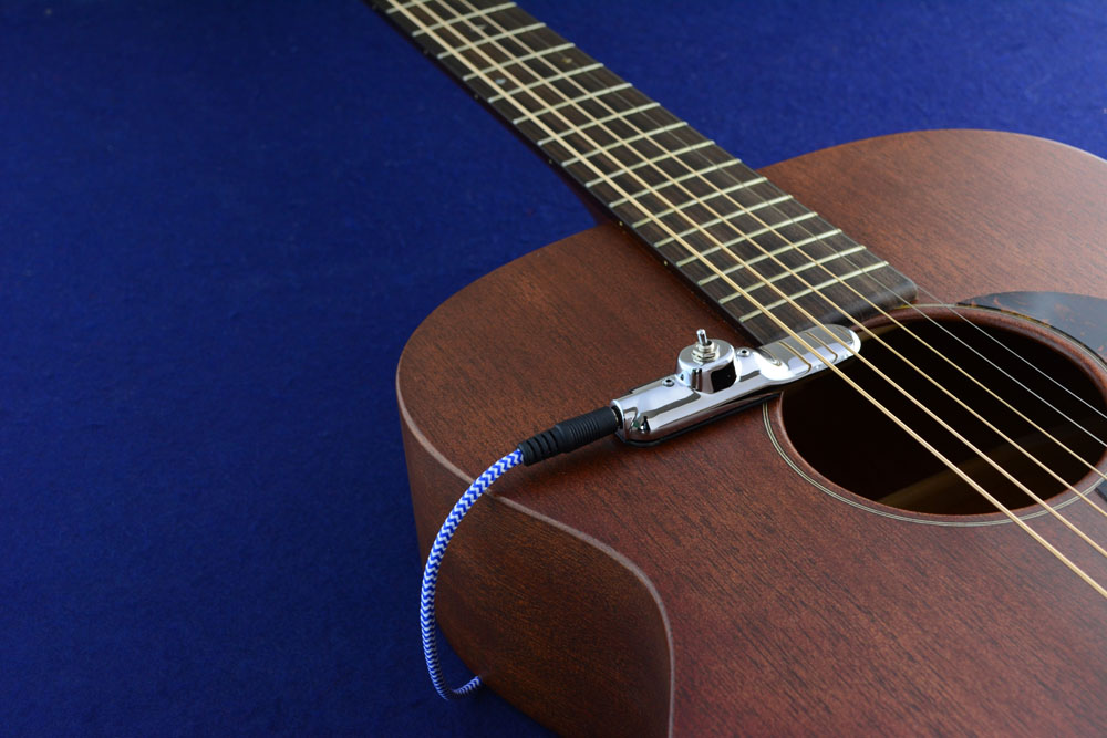 Mahogany Martin.jpg