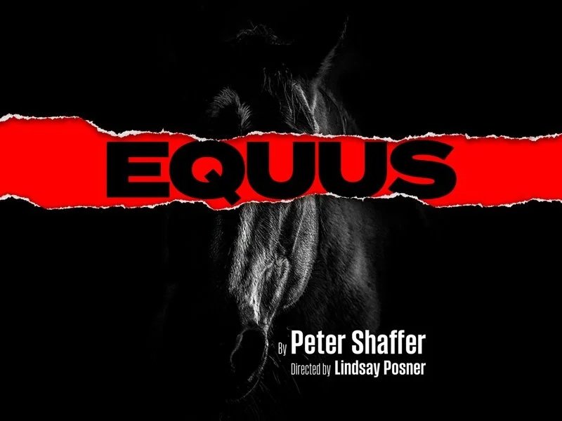  DAVID RUBIN plays &nbsp;Harry Dalton in Equus at the Menier Chocolate Factory, directed by Lindsay Posner 