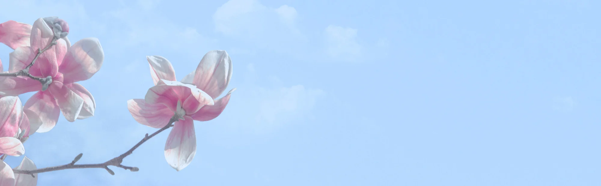 BG-home-LR short.jpg