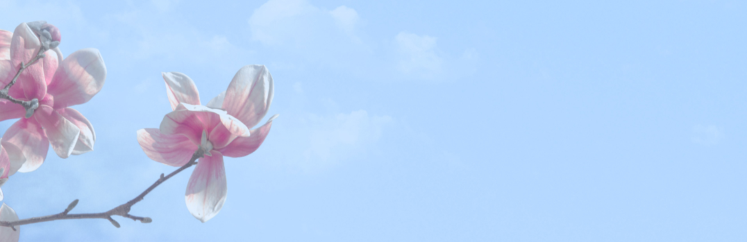 Screen Shot 2018-09-17 at 3.26.29 PM.png