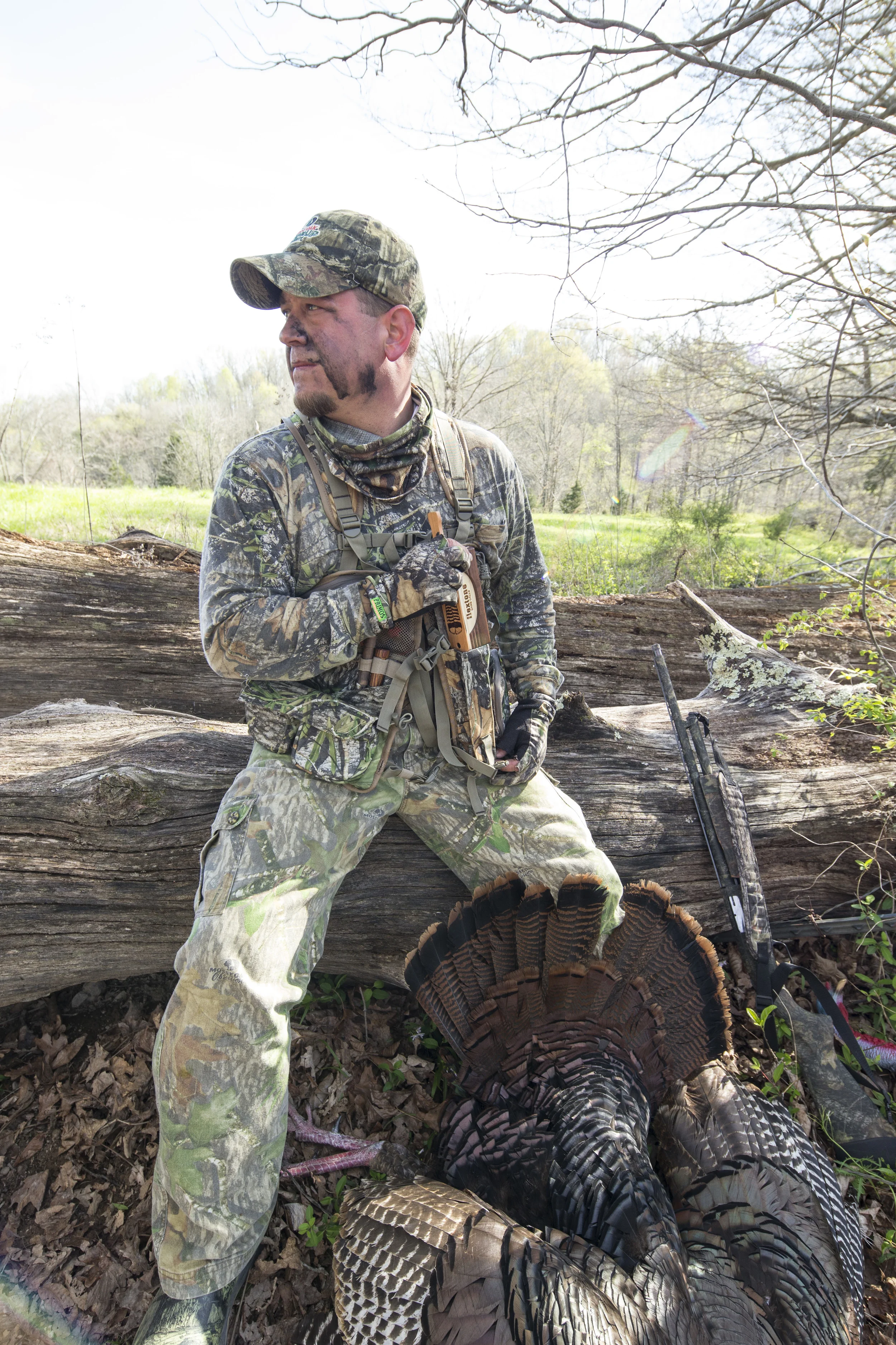 Take time to listen to the sounds of Arkansas woodland creatures.
