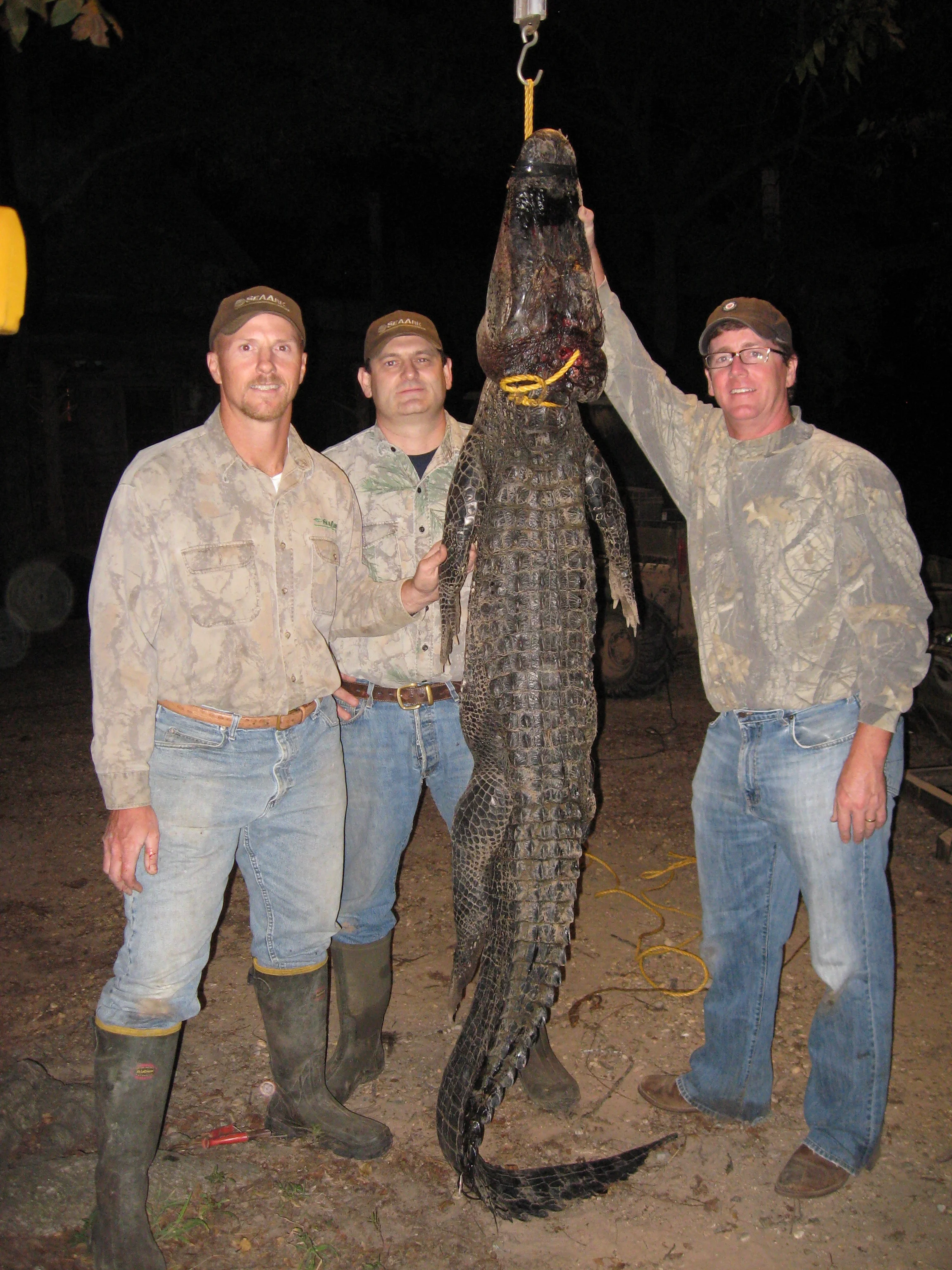 (L to R) Anthony Brown, John McClendon, and John Starling in 2011 with an 8-foot 6-inch female alligator killed by Starling on opening night of the 2011 season.