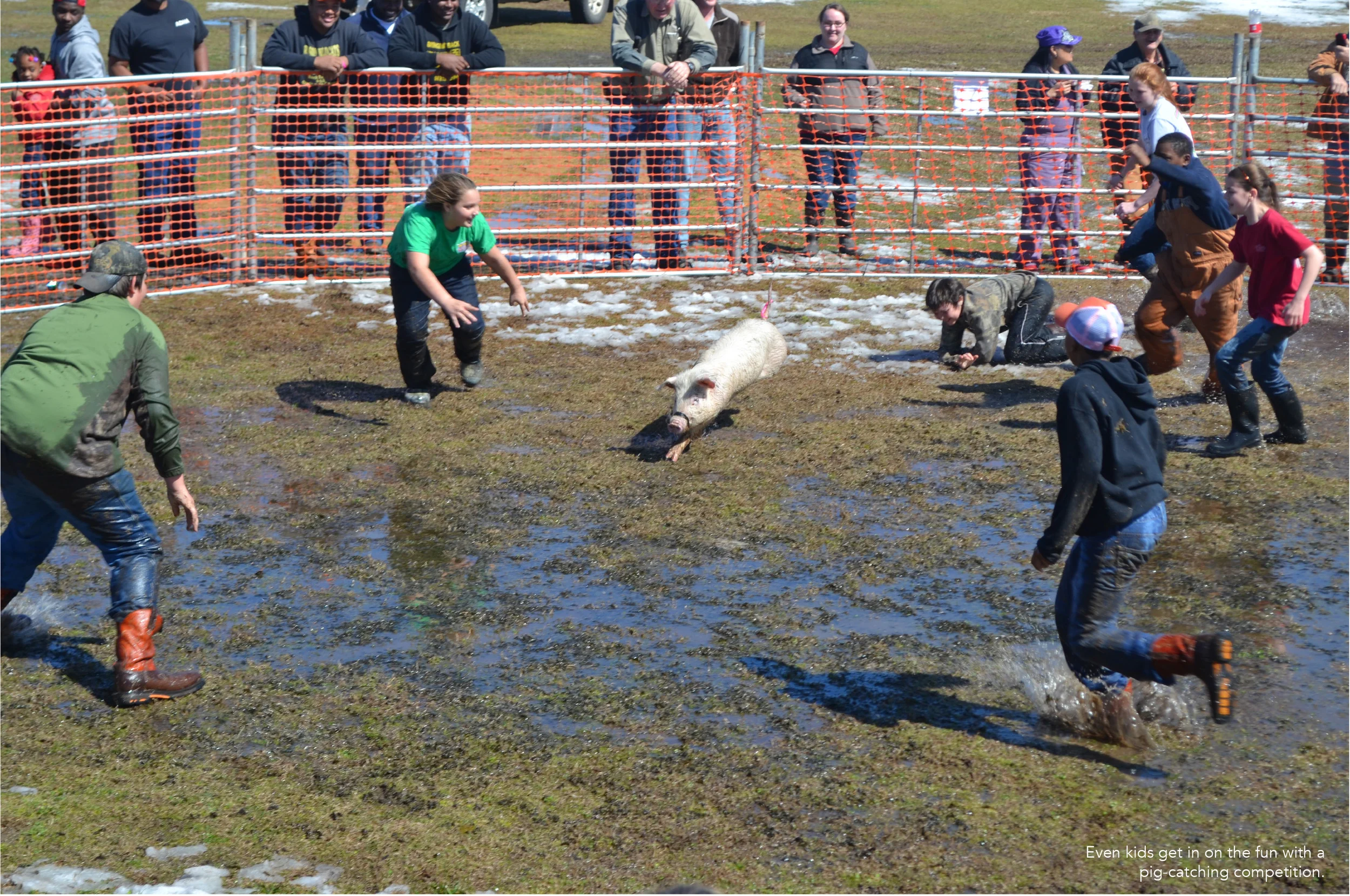 Photos courtesy of Richard Ledbetter