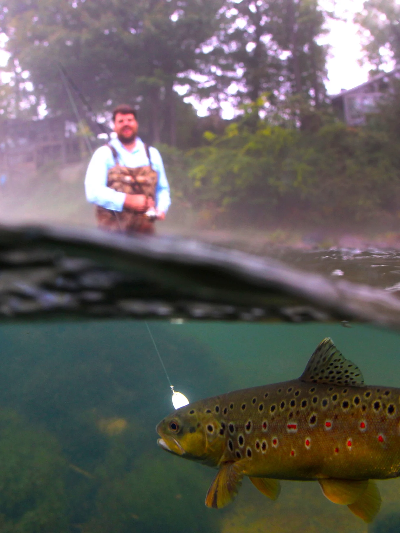 The most popular walk-in spots on the Little Red River include Cow Shoals and JFK Park.