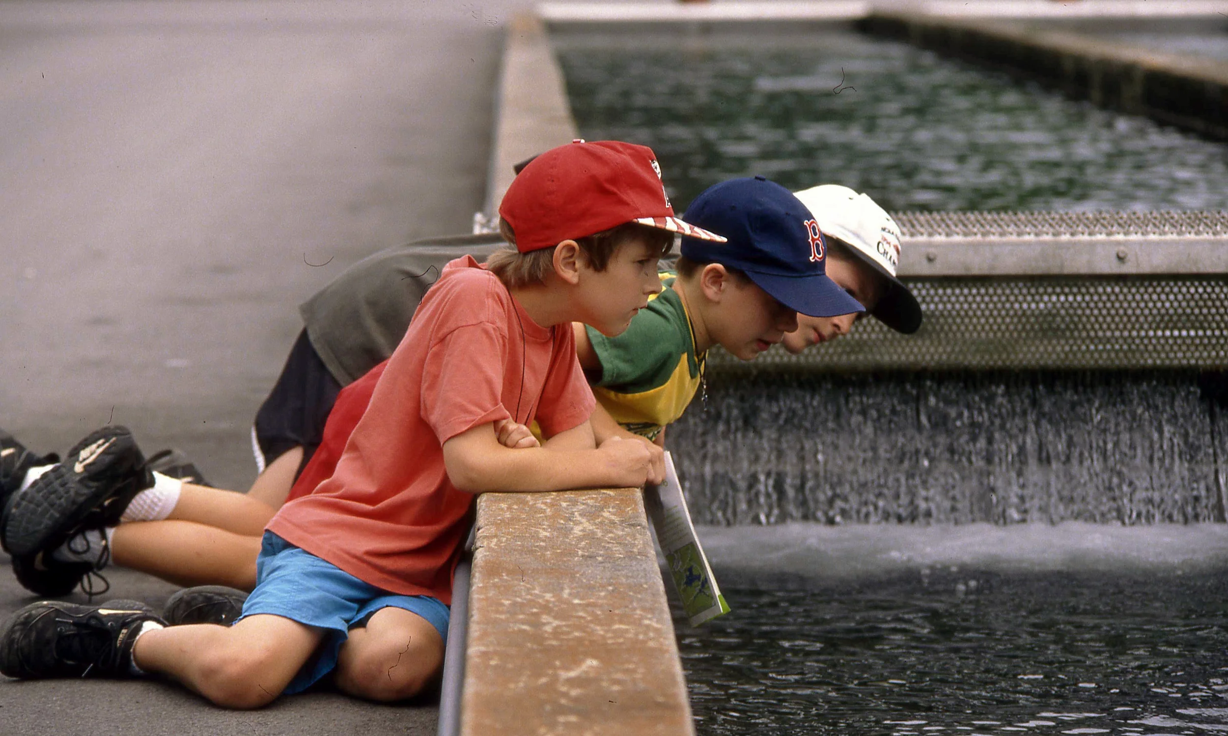 The Greer's Ferry Hatchery supplies brown and rainbow trout for lakes and rivers across Arkansas.