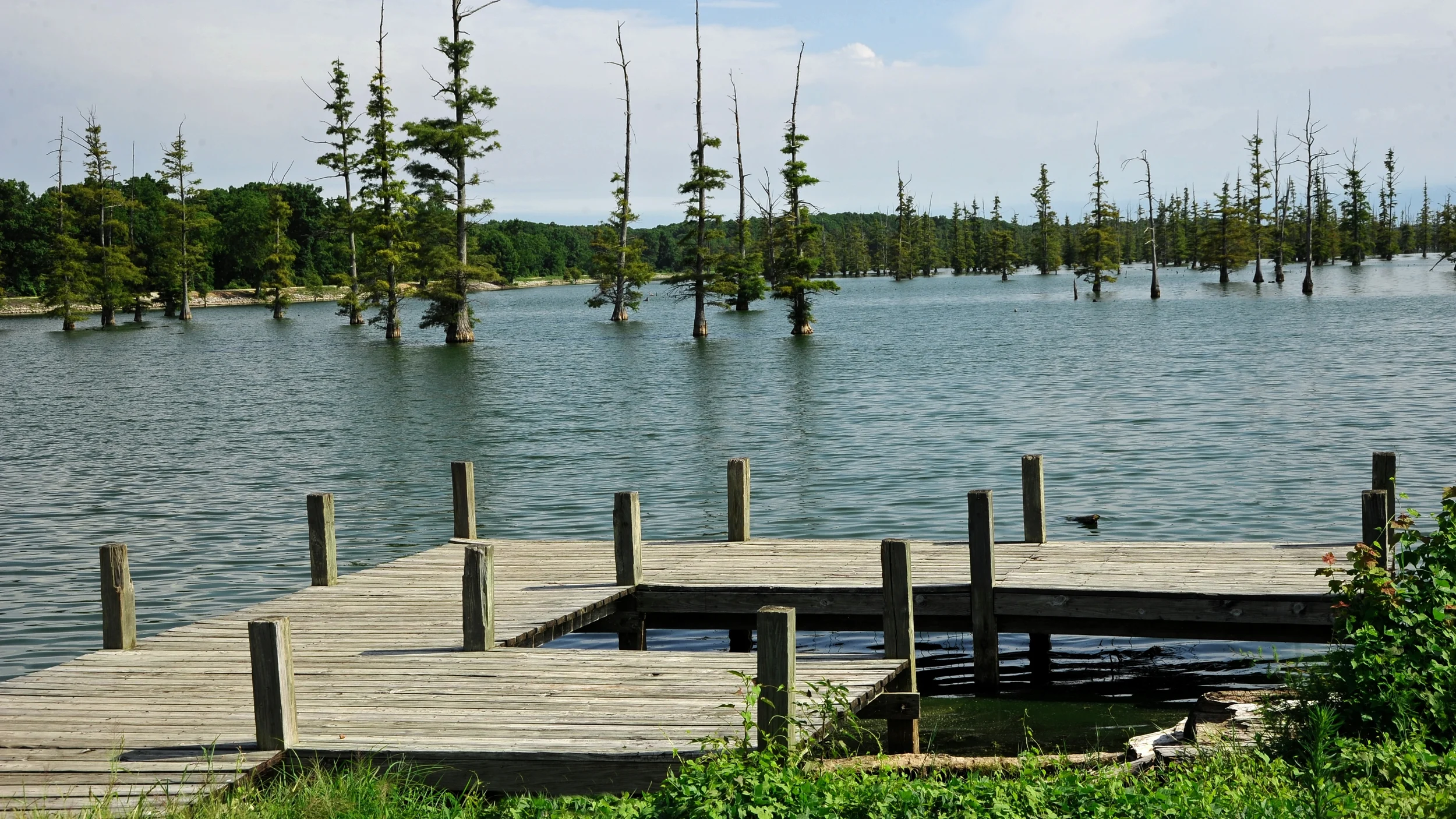 Lake Mallard is a fishing and wildlife spotting paradise.