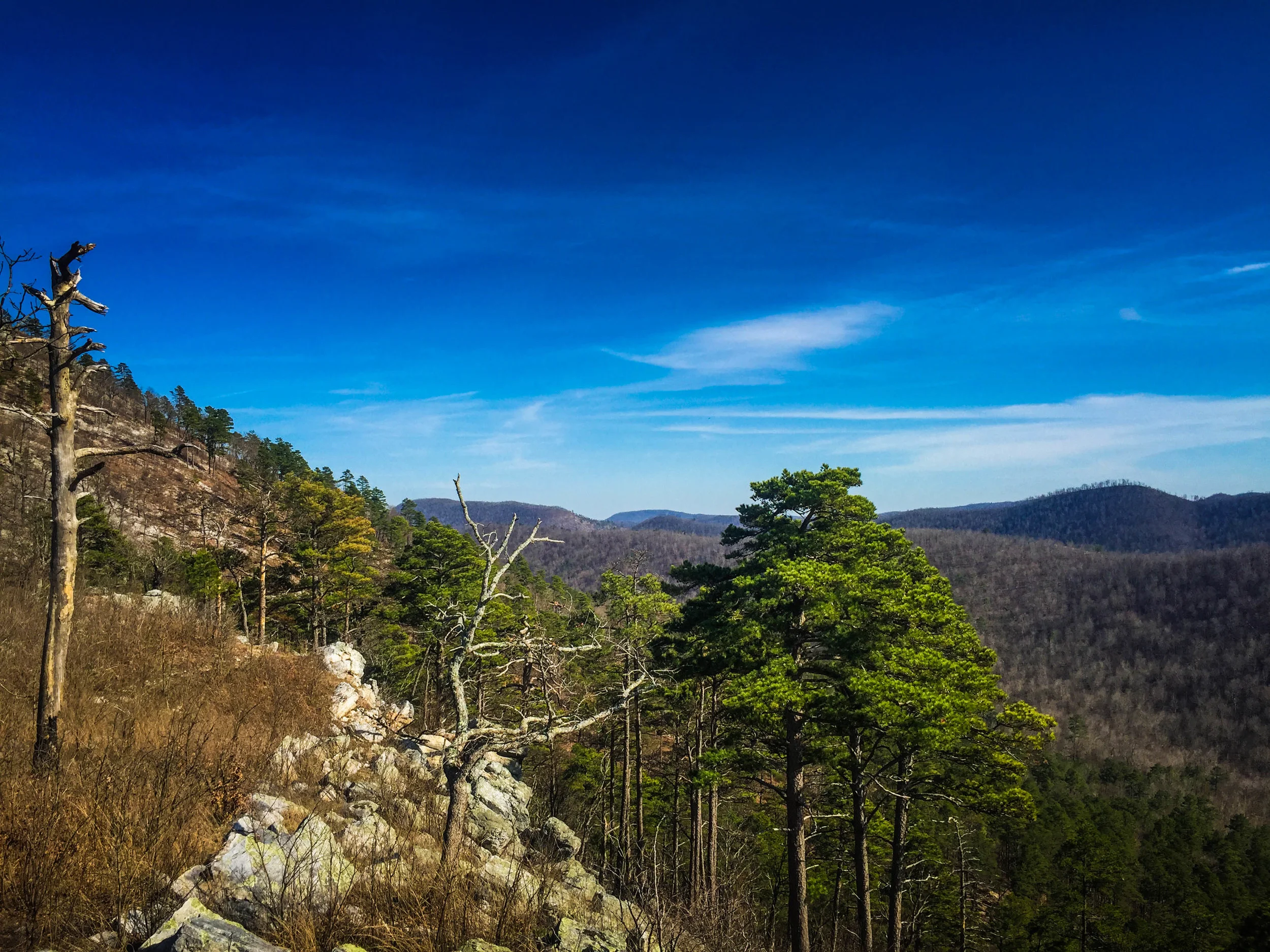 Just up from the Little Missouri Falls is a climb through the pines to some of the best vistas in the Ouachita Mountains.