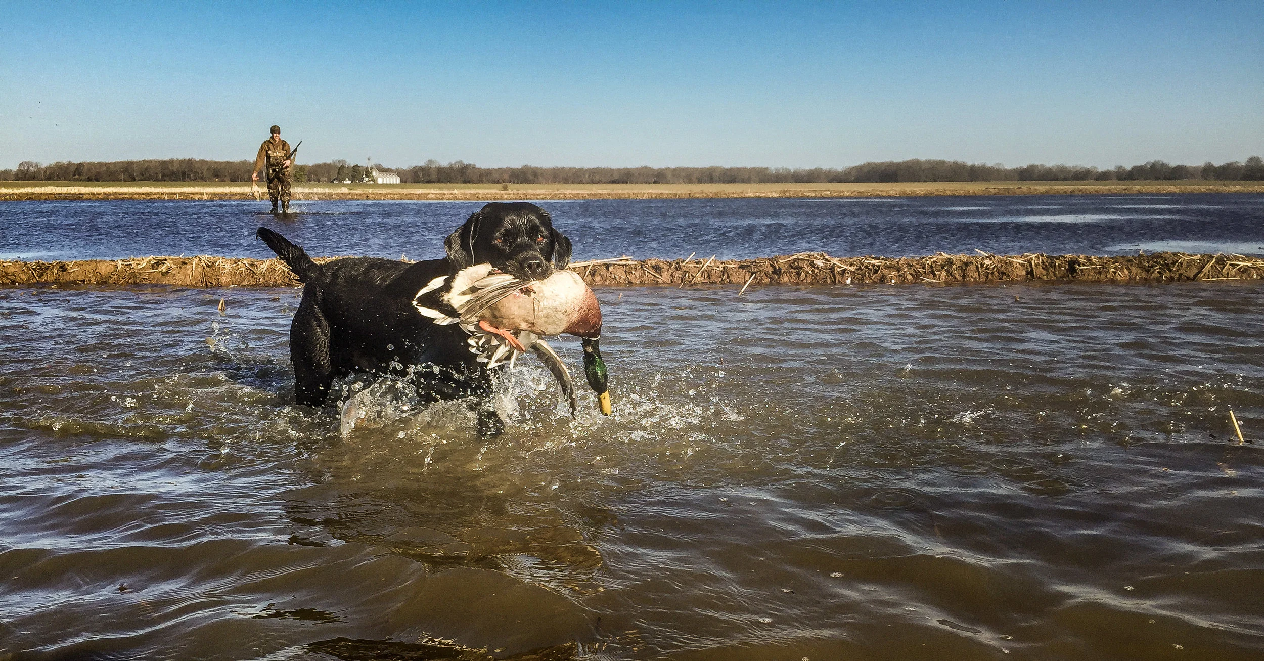 Author Spencer Griffith’s dog, Jack, shows off his training.