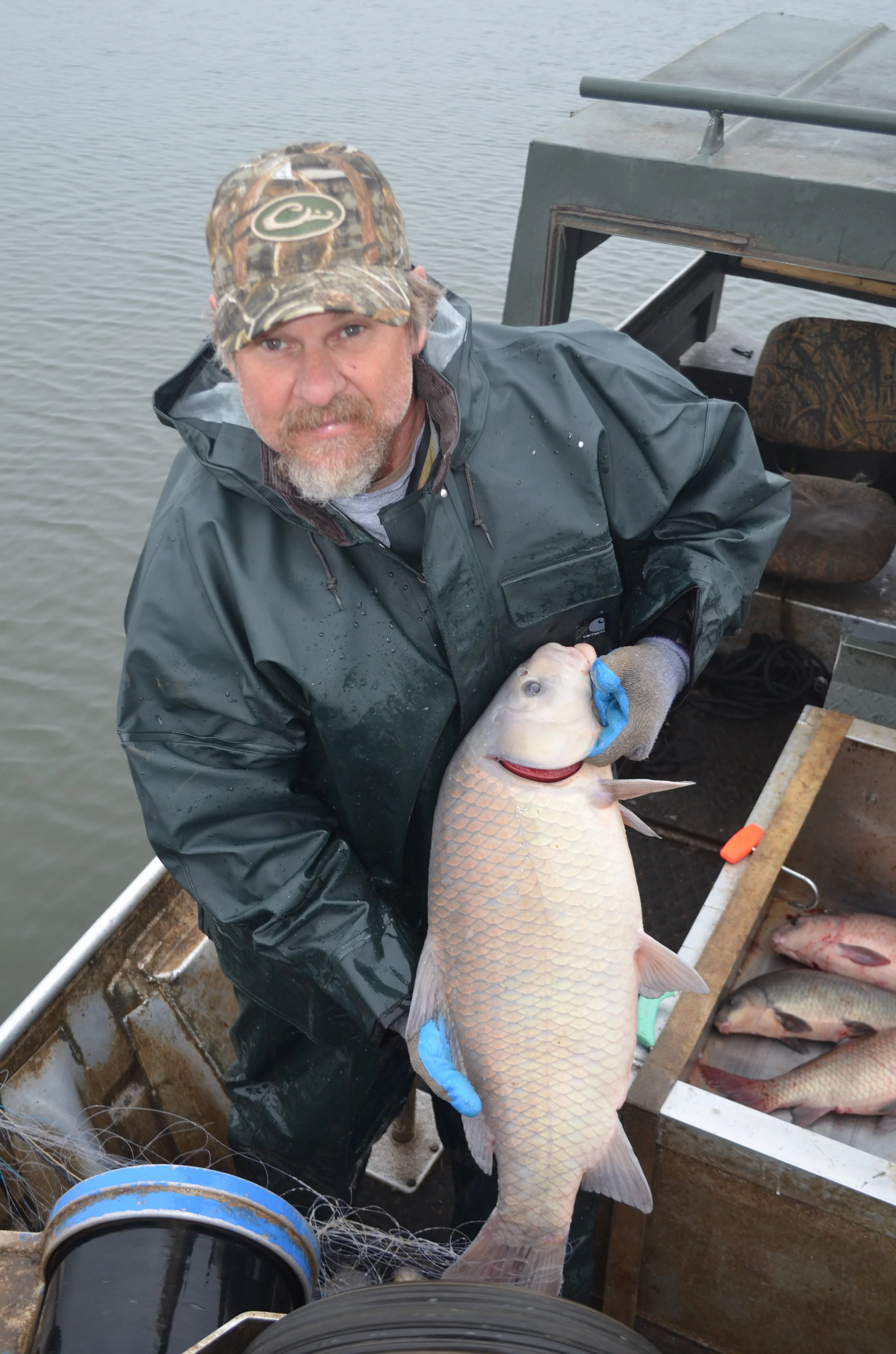 The Realities of Rough Fish — Arkansas Wild