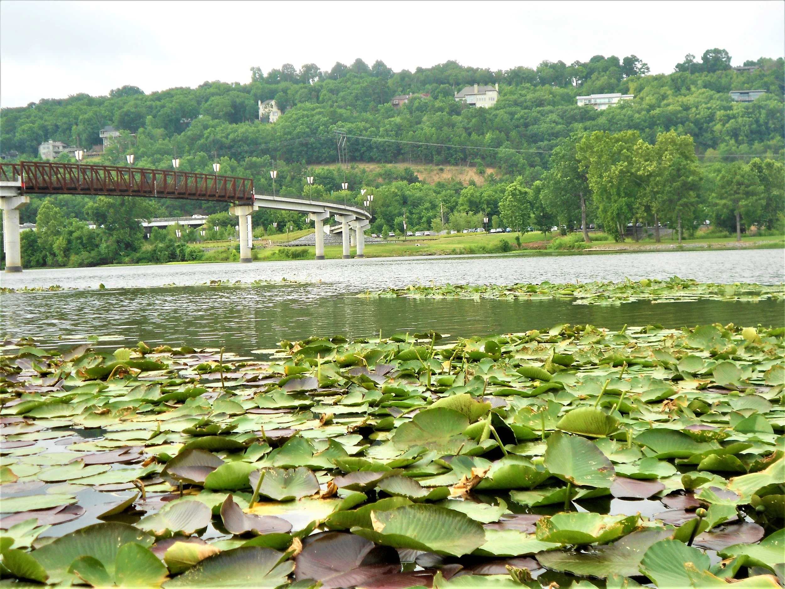 The Arkansas River near Two Rivers Park in Little Rock makes for an easily-accessed spot to drop in a kayak nearly any time you get the urge to fish.