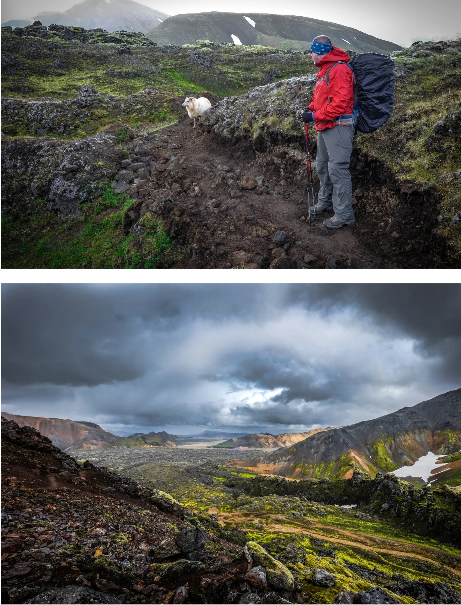 Top to bottom: Less than a mile from the start, we encounter wildlife—sheep, in this case. Otherworldly landscapes in every direction as we hike toward Hrafntinnusker. Taking a short break during our first glacier crossing.