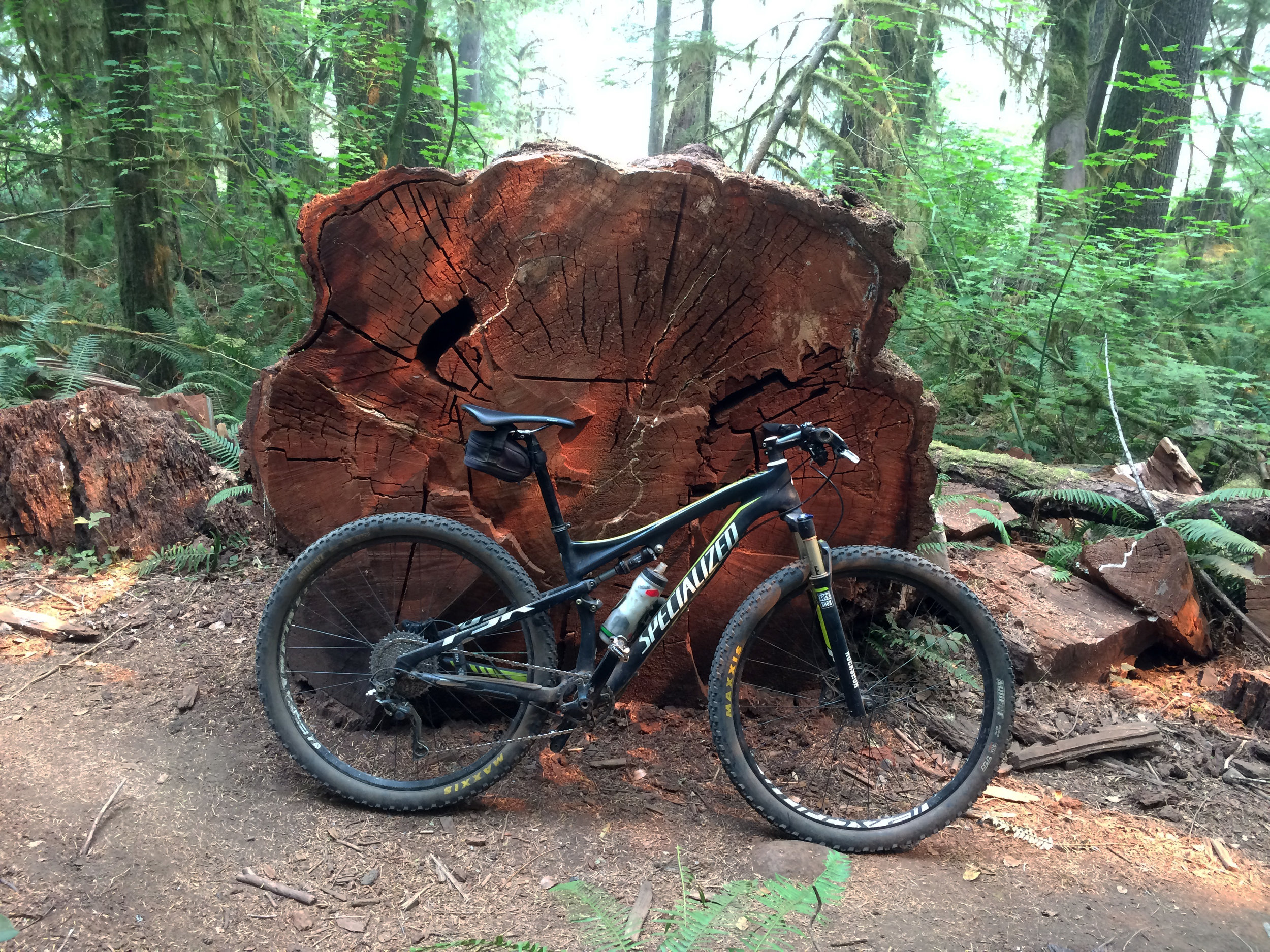  Top to bottom: John Fenger, frequent mountain biker, working his way through the rough lava section. A downed giant old growth conifer tree dwarfs Bob’s bicycle in the Willamette Forest. 