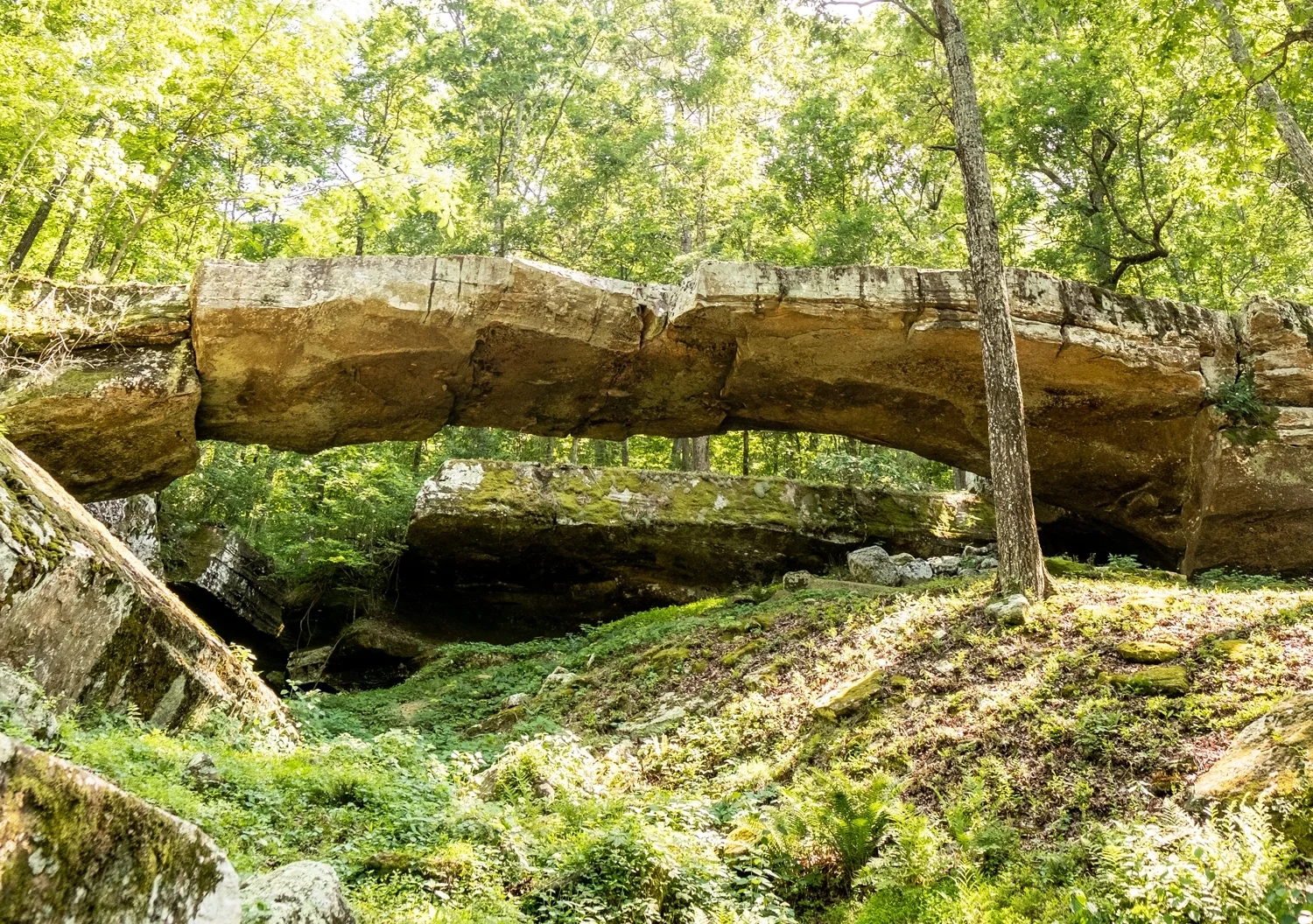 The Natural Bridge is a fun pit-stop when traveling through Van Buren County on Highway 65.