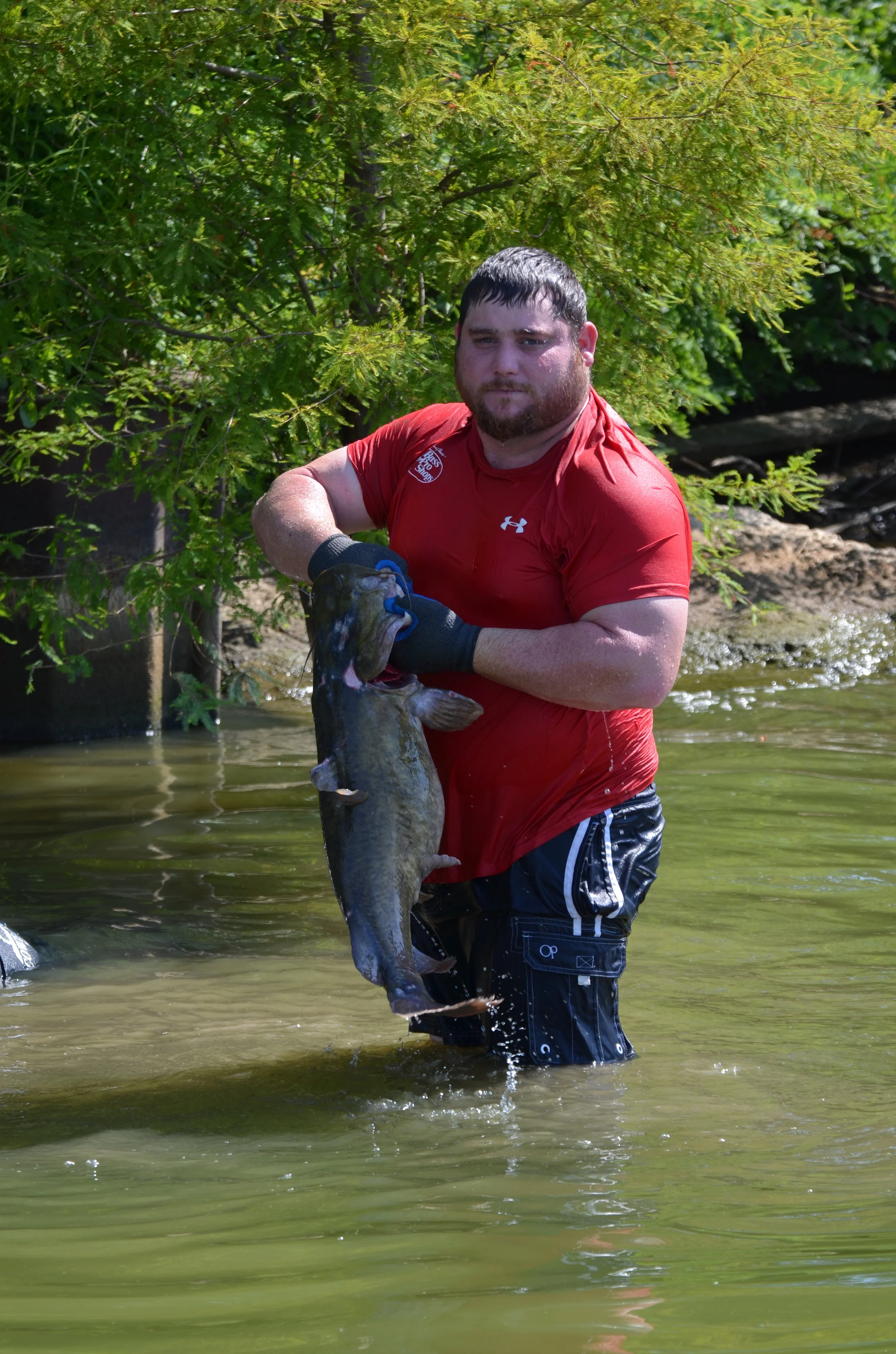 Catfishing By Hand — Arkansas Wild