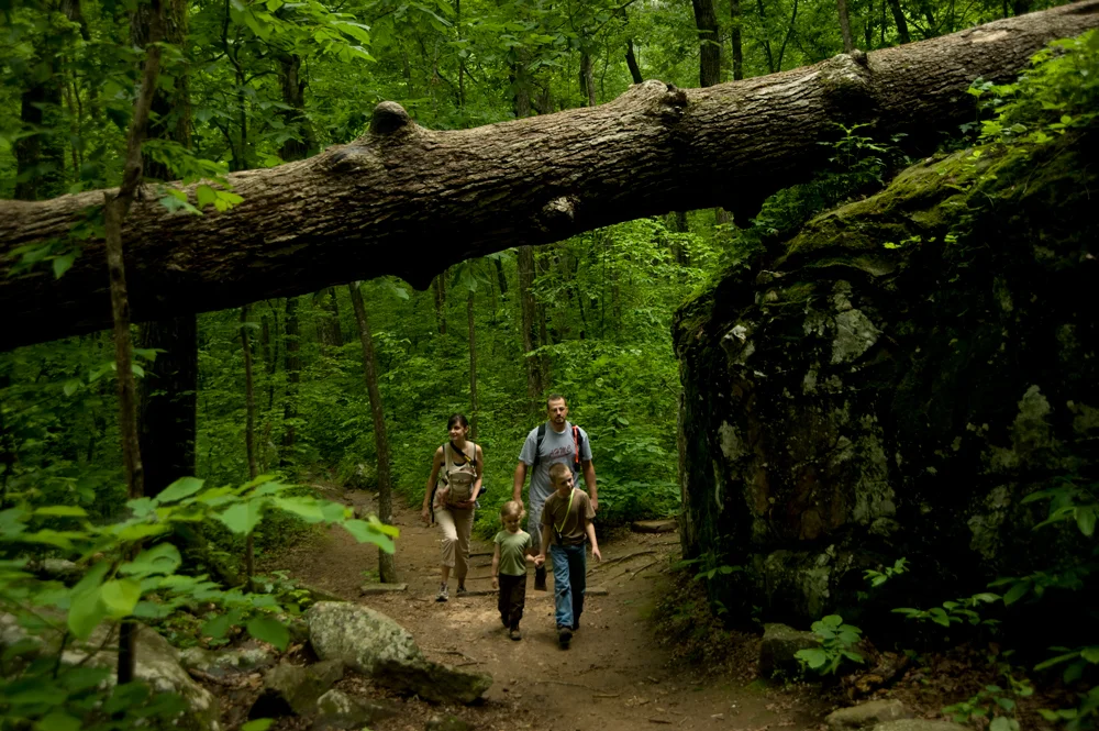 Petit Jean's tranquil forests offer something for all ages to see, making it a natural for families.