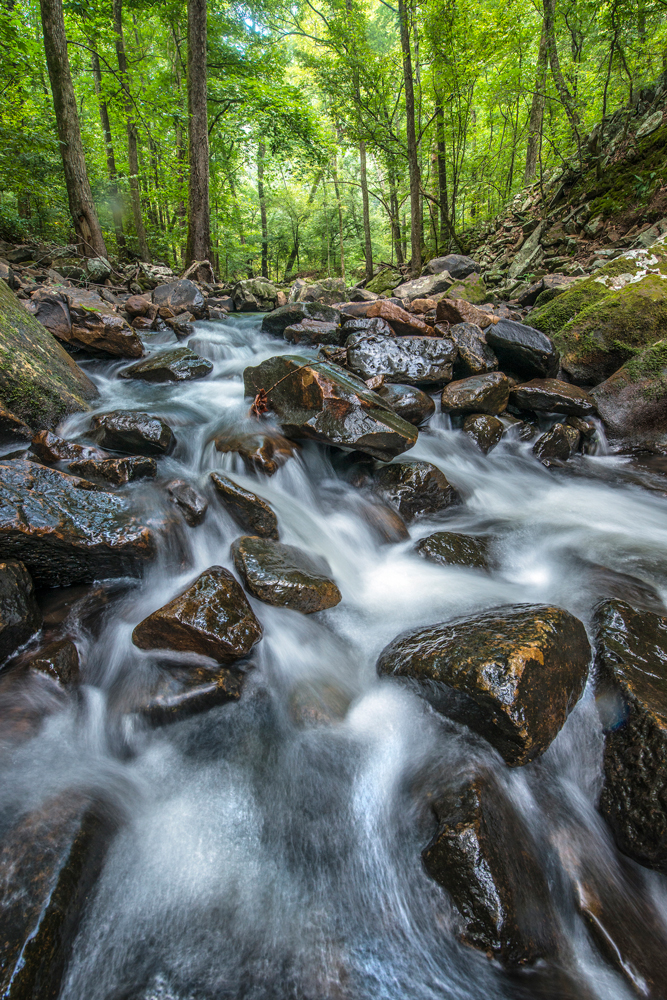 Spring is a great time to visit Petit Jean as water levels in creeks and waterfalls are more likely to be high.