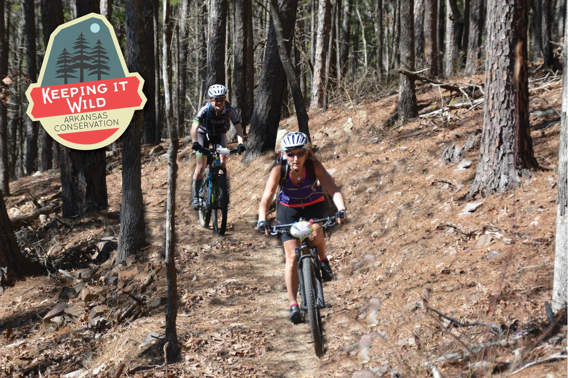 Mountain bikers tackle an Iron Mountain trail. Arkansas is nationally known for its trails systems, providing tourism dollars and quality of life for natives.