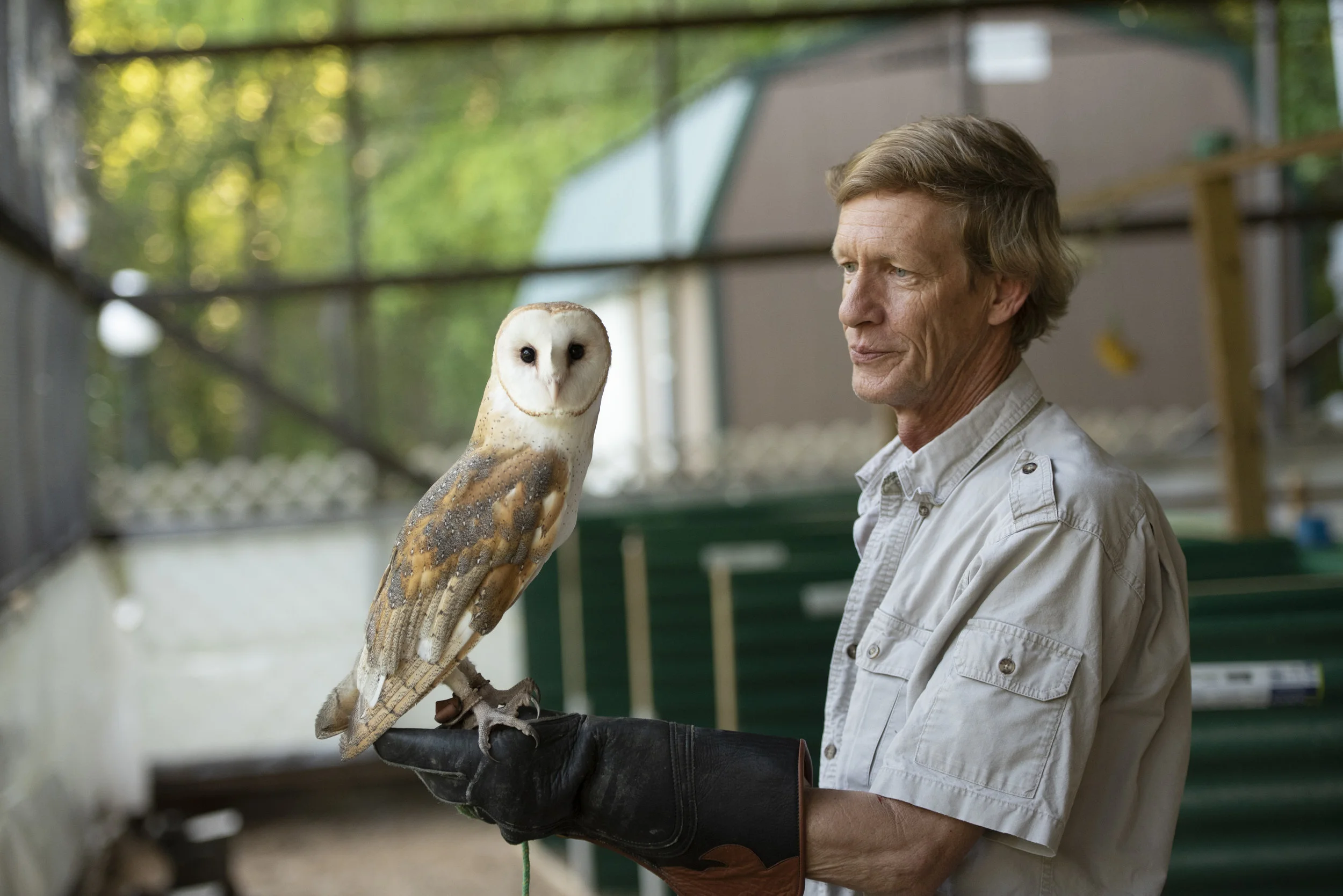 RRCA Amabassador Titus, a barn owl, is one of a handful of birds used in the center’s education program.