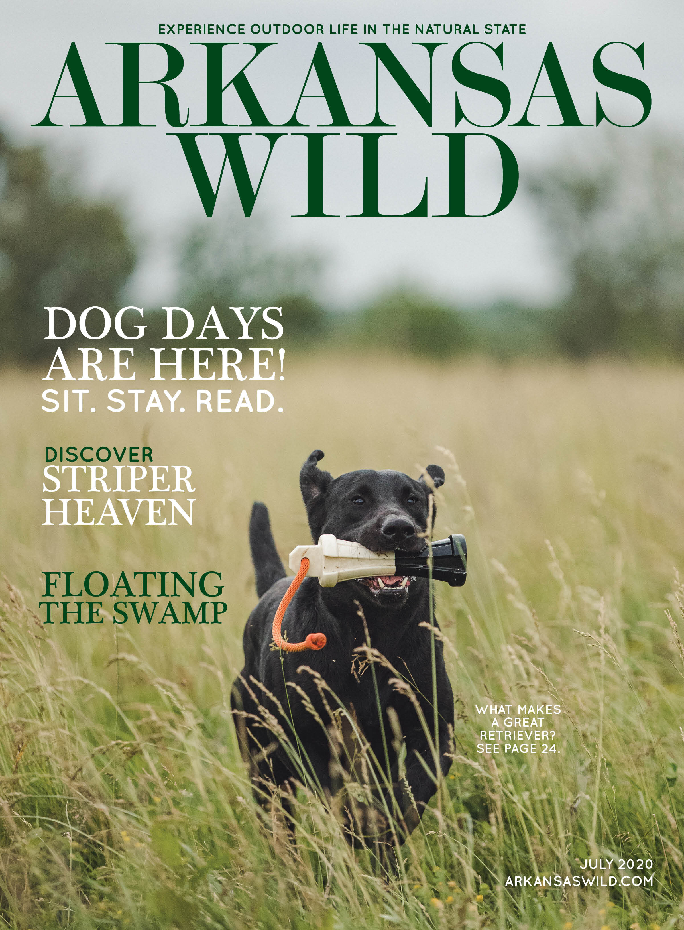 Wild Summer Issue 2020 Cover.jpg