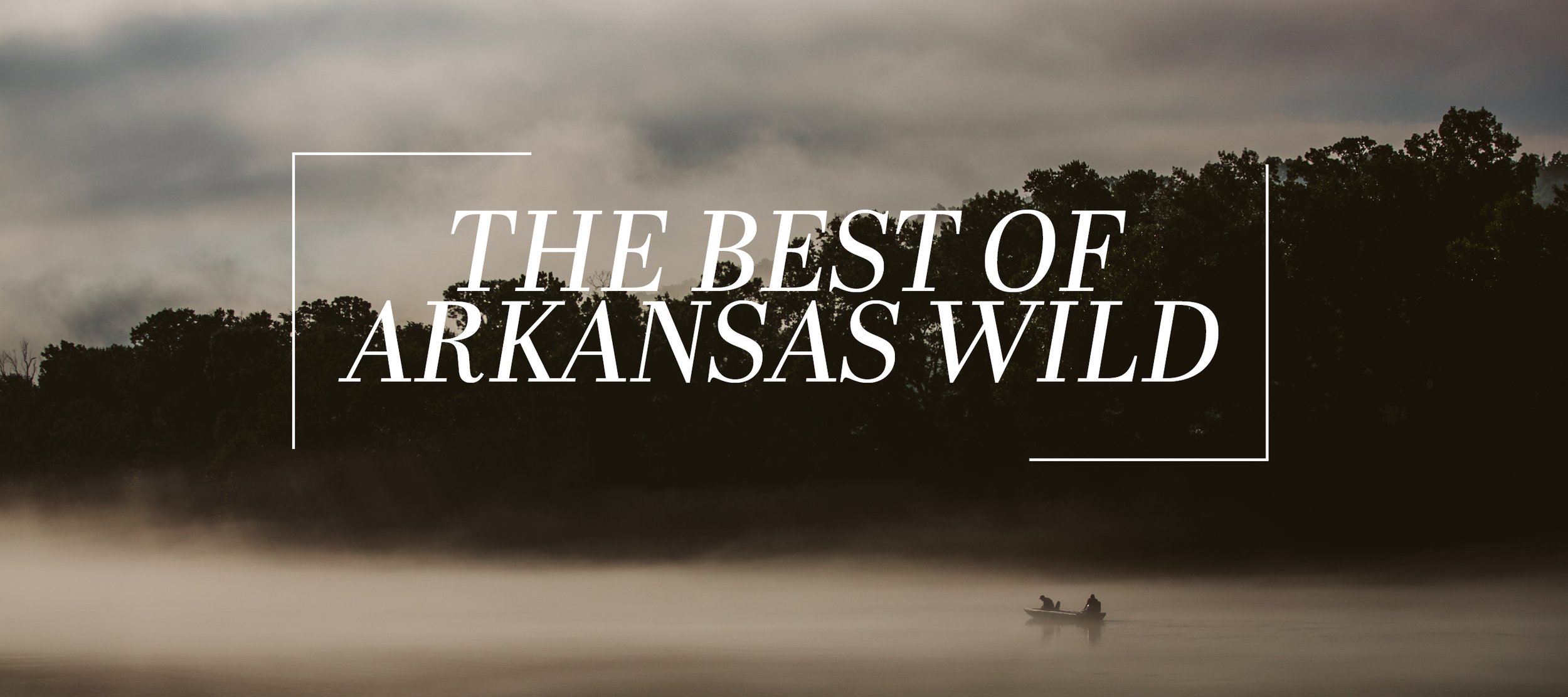 Best of Arkansas Wild.jpg