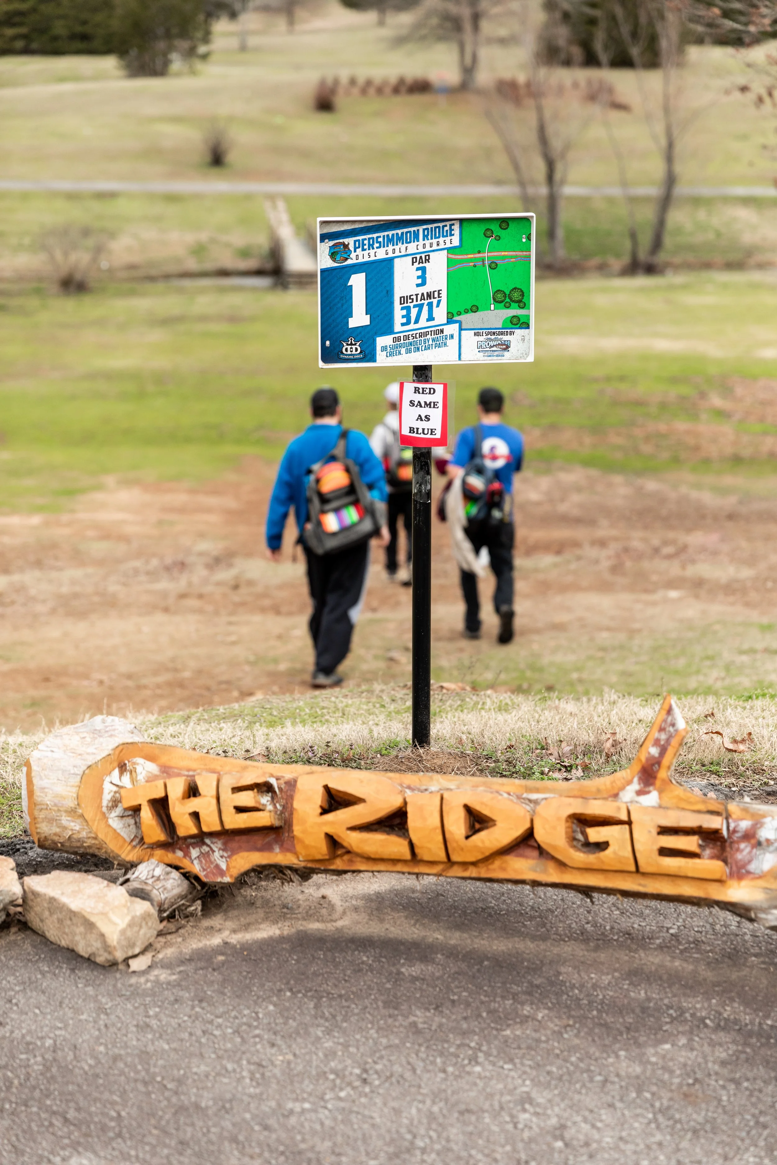 New Spin Discgolf — Arkansas Wild