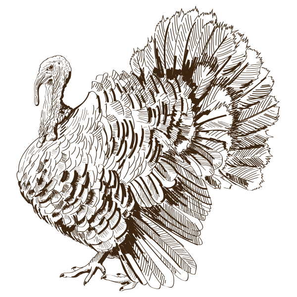 turkey hunting clip art