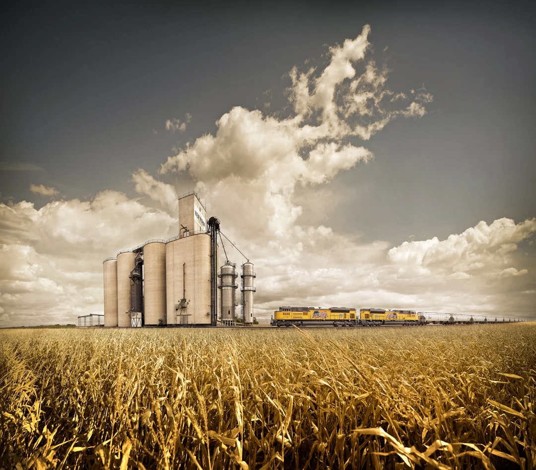 agro_v7_rgbc_2598.jpg