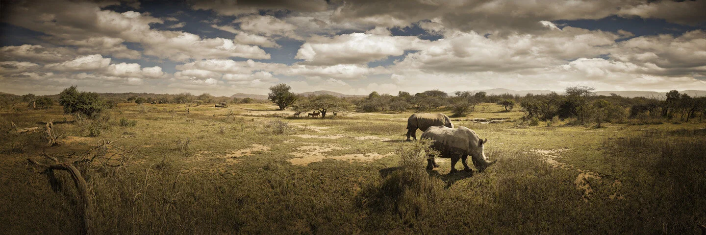rhinog_9222.jpg